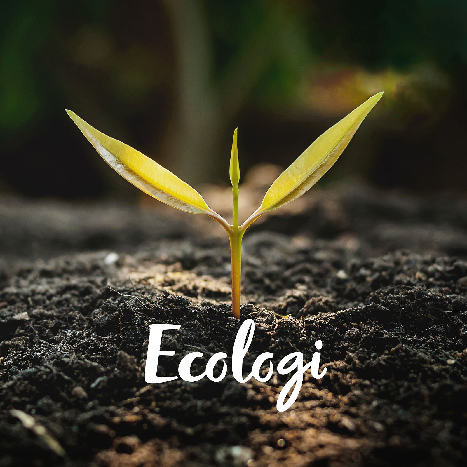 MBI & Ecologi