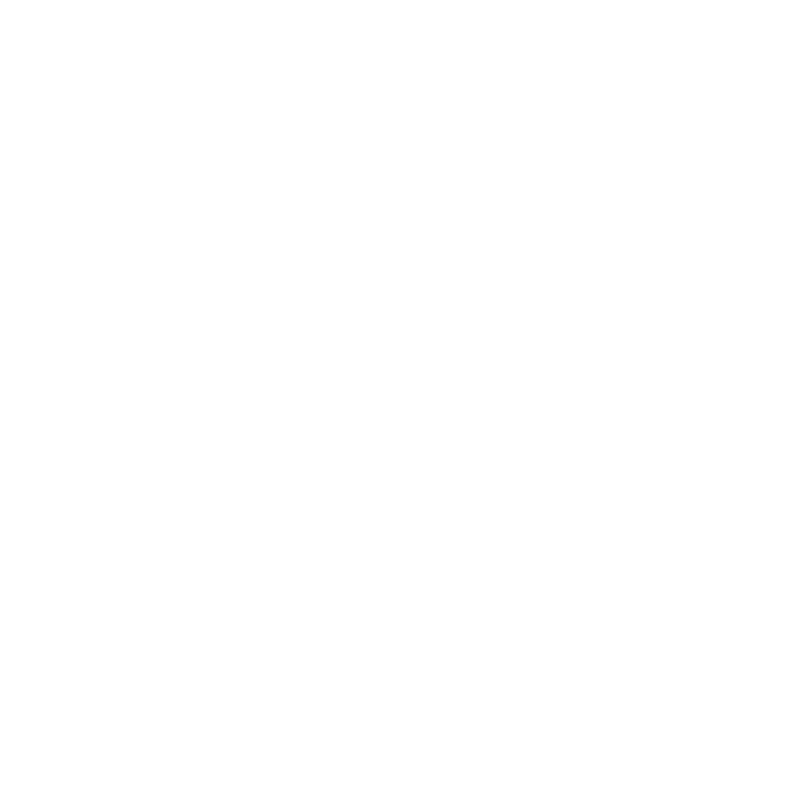 MBI Surveyors Framed Icon WHITE.png